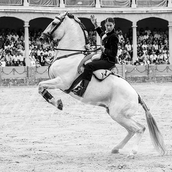 20260905 ronda rejon fd 021