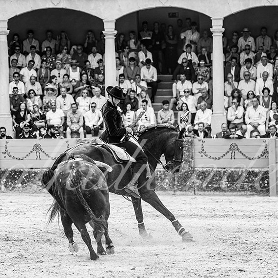 20260905 ronda rejon fd 019