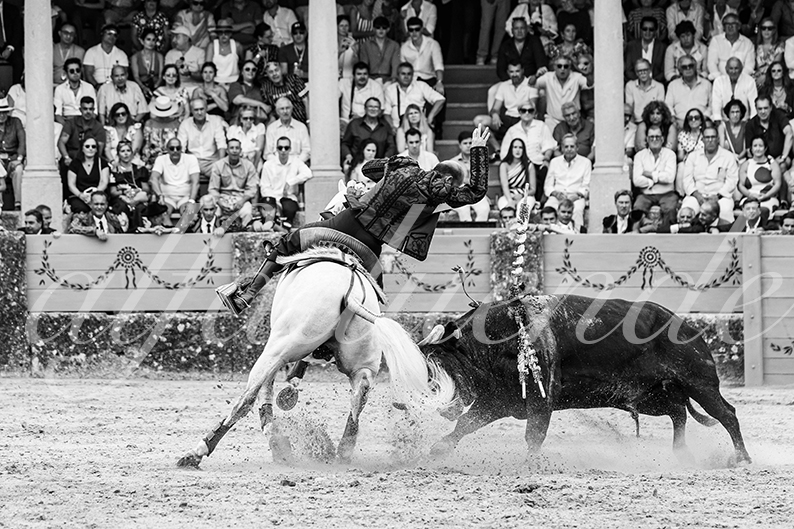 20260905 ronda rejon fd 017