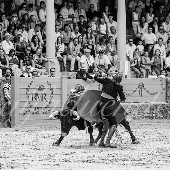 20260905 ronda rejon fd 015