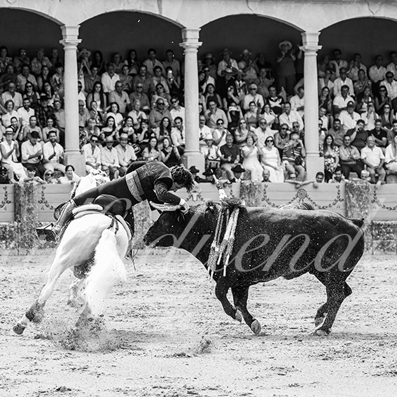 20260905 ronda rejon fd 014