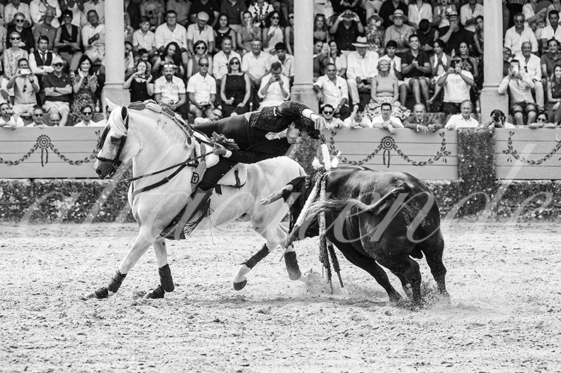 20260905 ronda rejon fd 013
