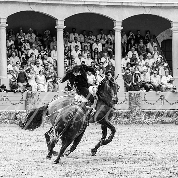 20260905 ronda rejon fd 012
