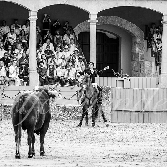 20260905 ronda rejon fd 011