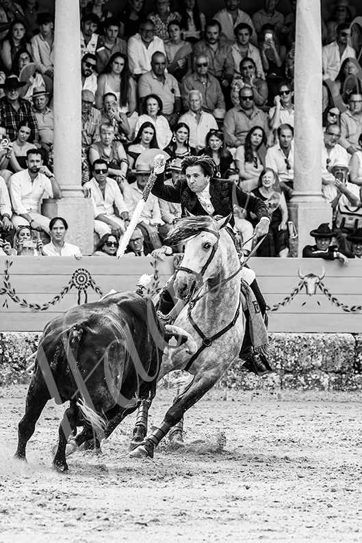 20260905 ronda rejon fd 010