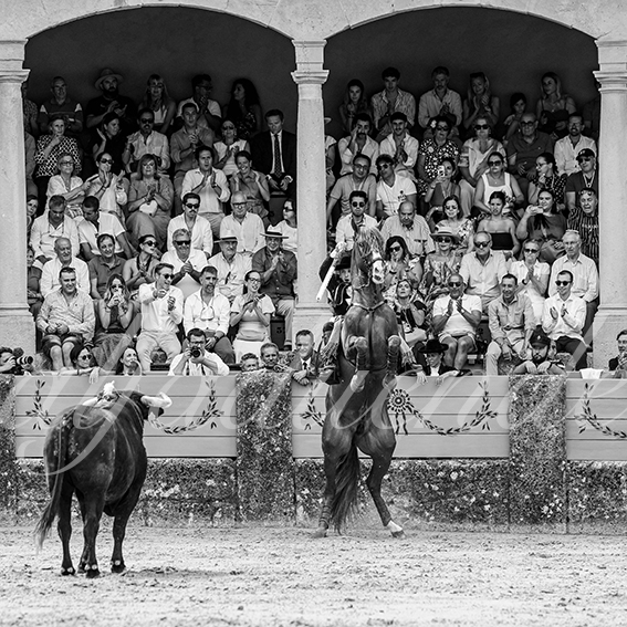 20260905 ronda rejon fd 009