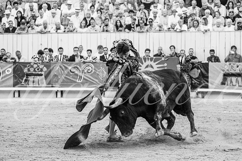 20260912 arles fd 015