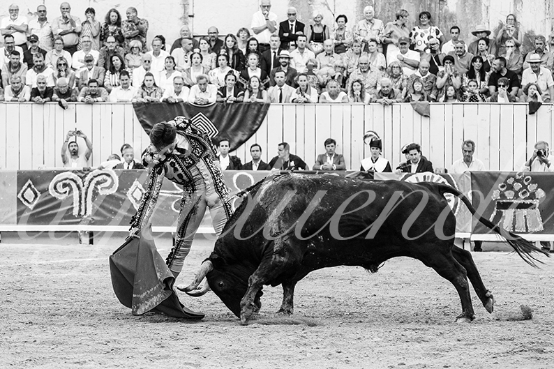 20260912 arles fd 013