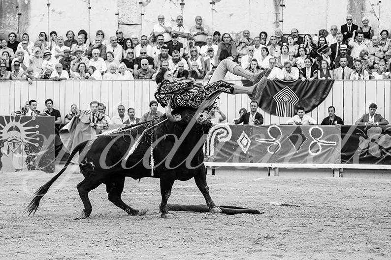20260912 arles fd 012