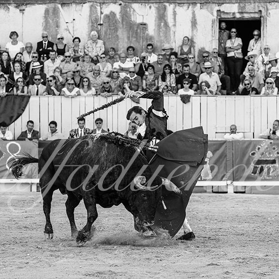 20260912 arles fd 004