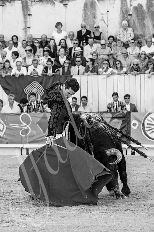20260912 arles fd 003