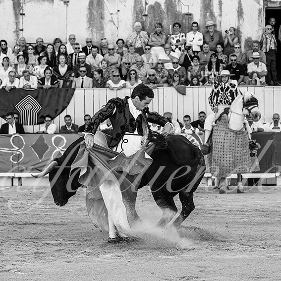 20260912 arles fd 002