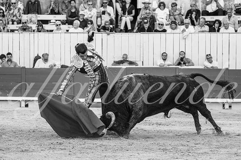 20260913 arles fd 031