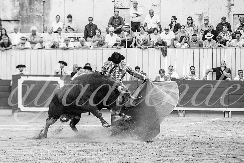 20260913 arles fd 030