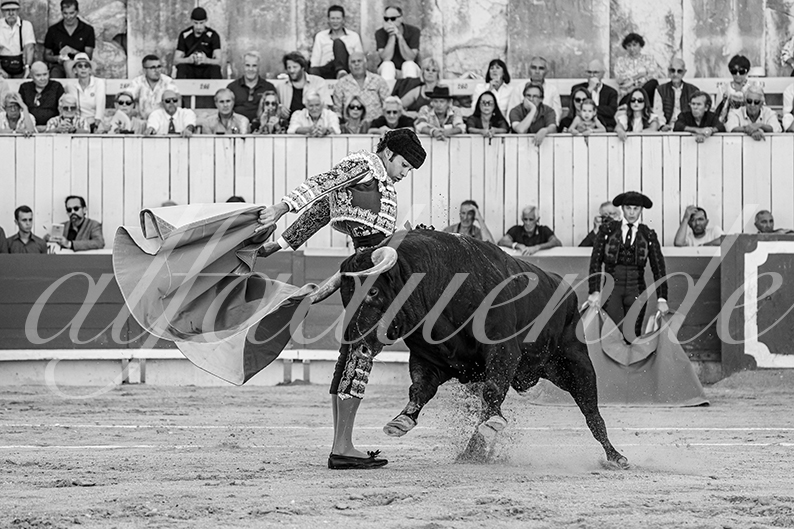 20260913 arles fd 029