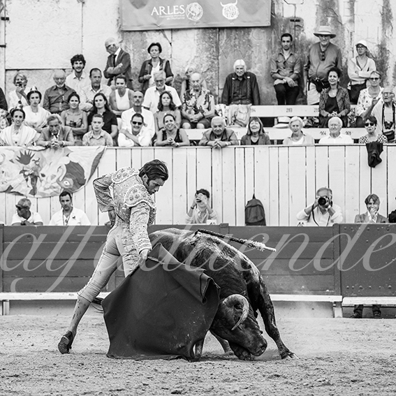 20260913 arles fd 026