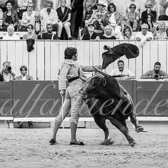 20260913 arles fd 024