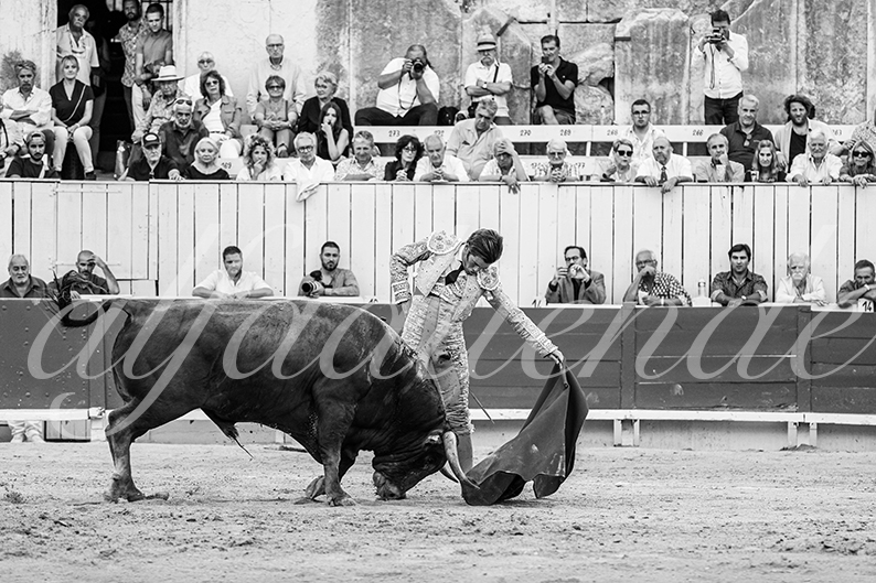 20260913 arles fd 023