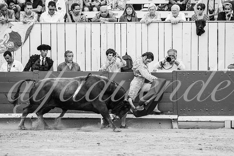 20260913 arles fd 021