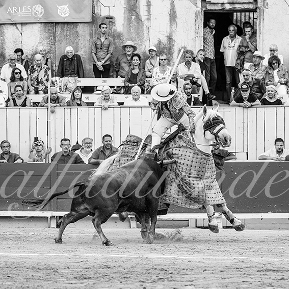 20260913 arles fd 019