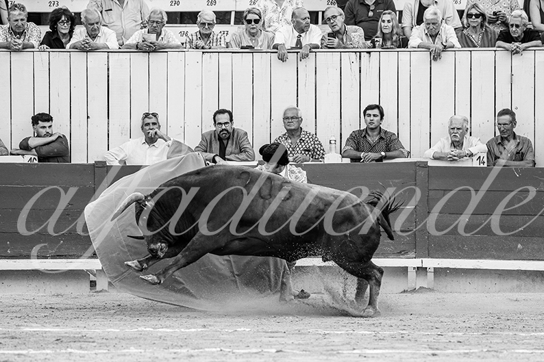 20260913 arles fd 018