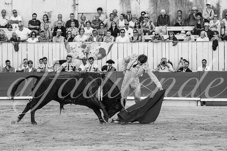 20260913 arles fd 016