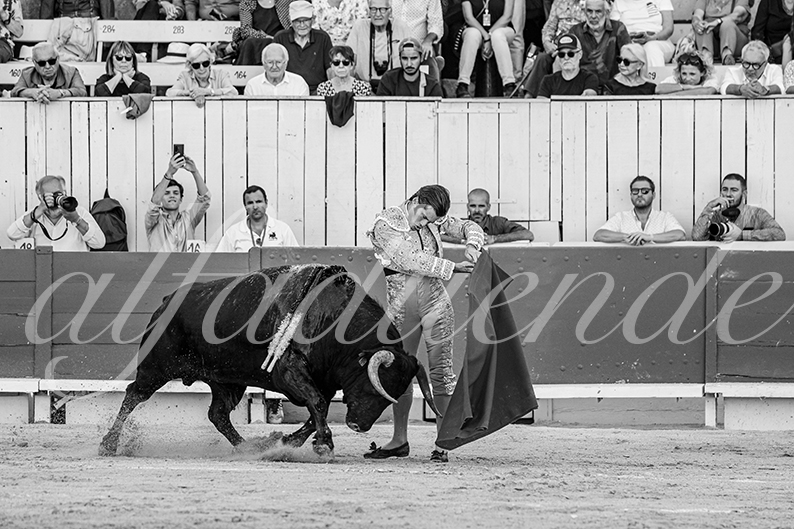 20260913 arles fd 014