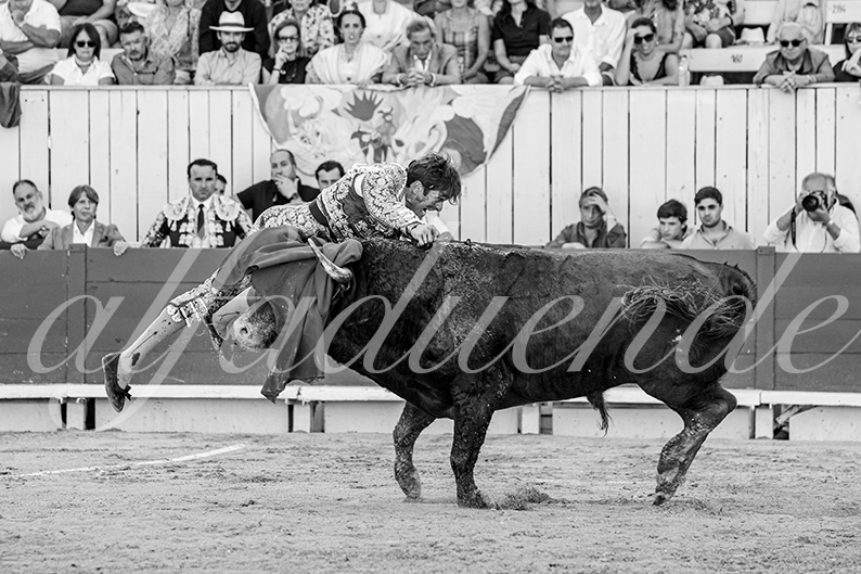 20260913 arles fd 011