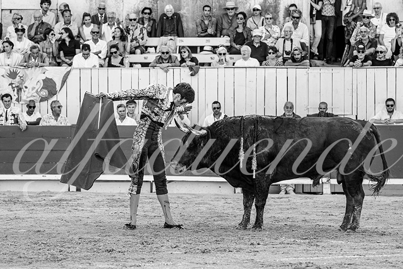 20260913 arles fd 010