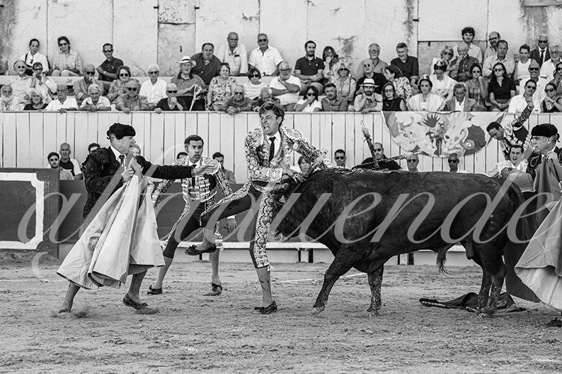 20260913 arles fd 007
