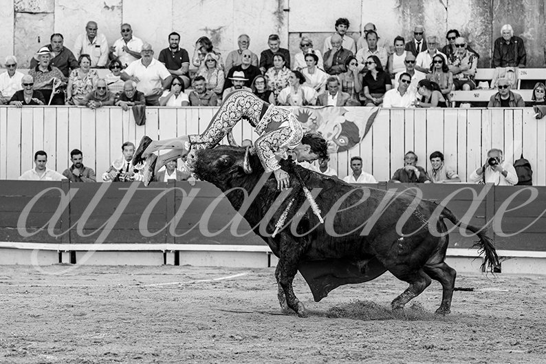 20260913 arles fd 006