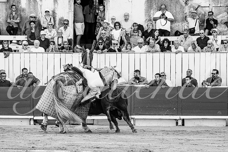 20260913 arles fd 003