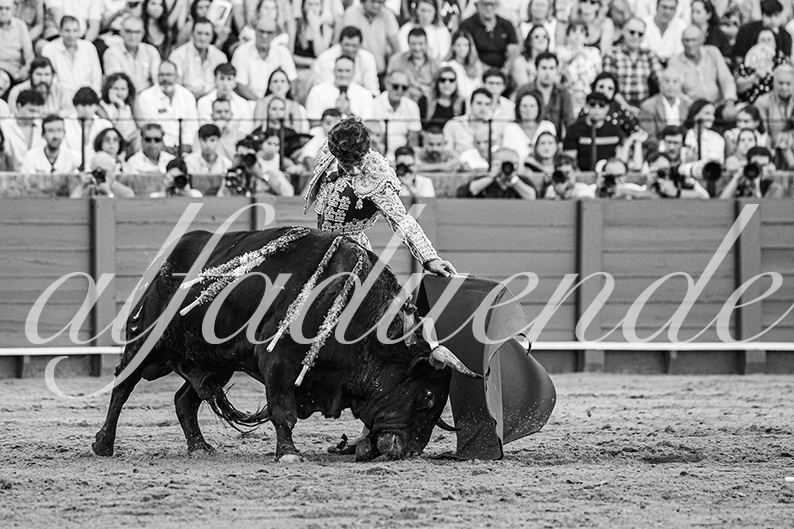 20260924 sevilla fd 026
