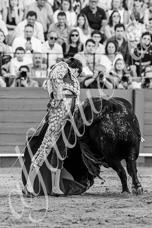 20260924 sevilla fd 025