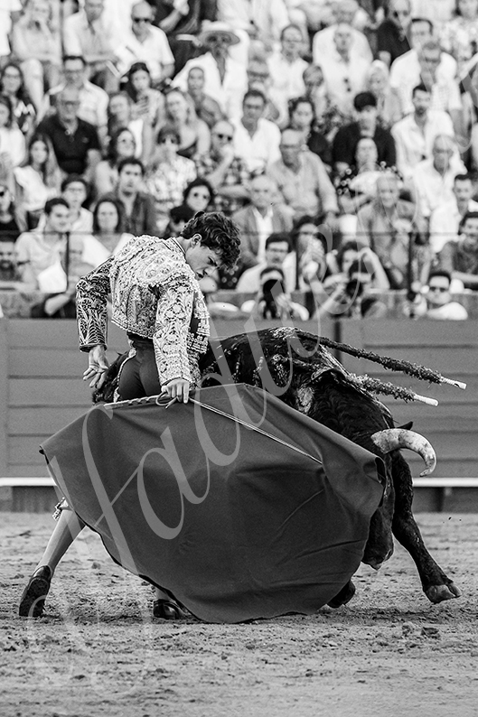 20260924 sevilla fd 024