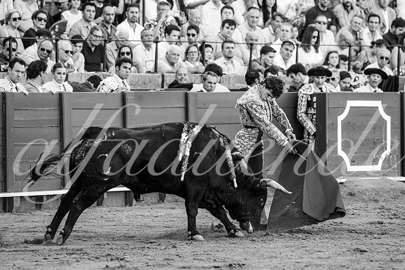 20260924 sevilla fd 023