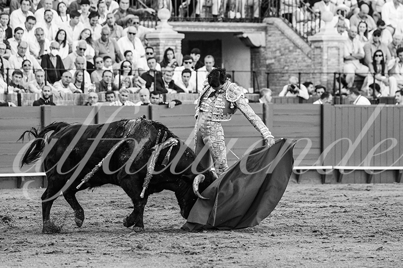 20260924 sevilla fd 019