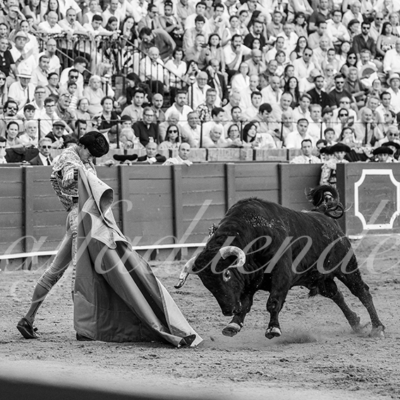 20260924 sevilla fd 018