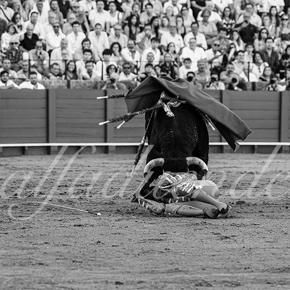 20260924 sevilla fd 016