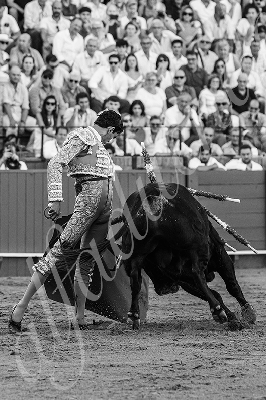 20260924 sevilla fd 014
