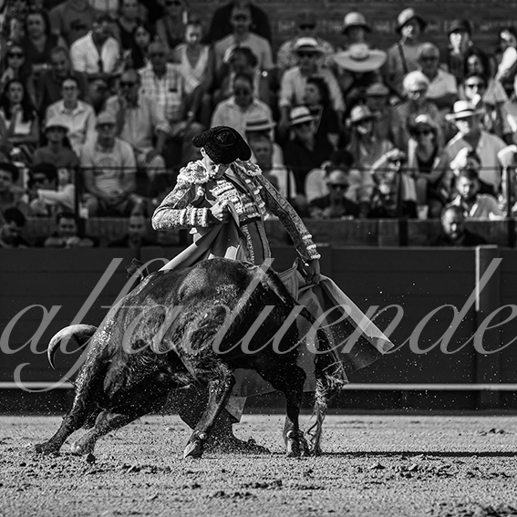 20260924 sevilla fd 013
