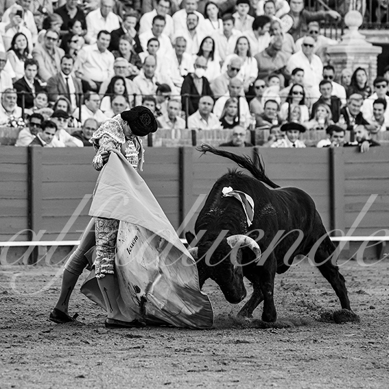 20260924 sevilla fd 012