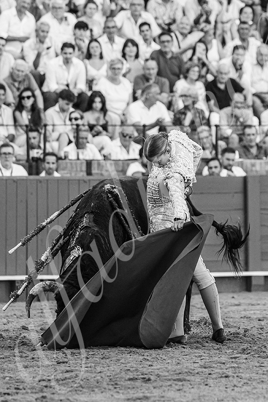 20260924 sevilla fd 009