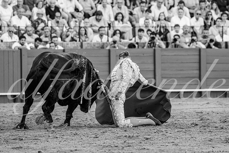 20260924 sevilla fd 007