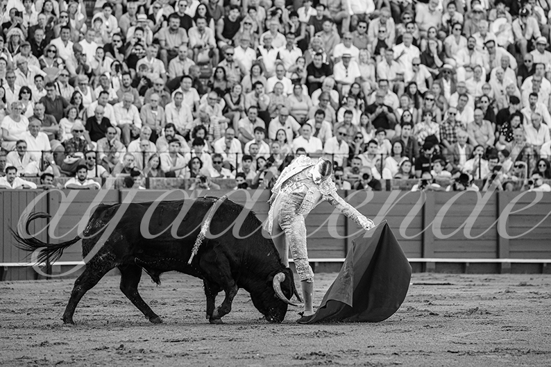 20260924 sevilla fd 005