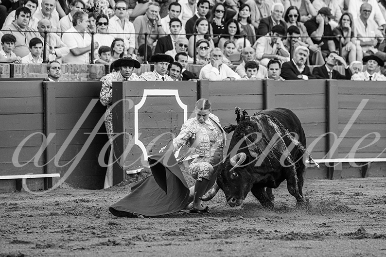 20260924 sevilla fd 004