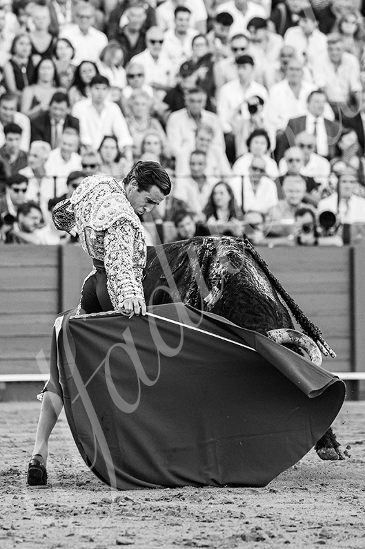 20260925 sevilla fd 020