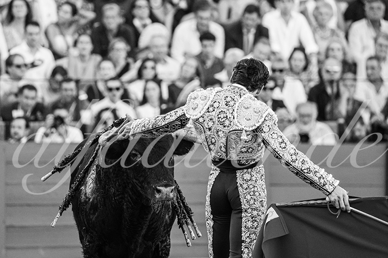 20260925 sevilla fd 019