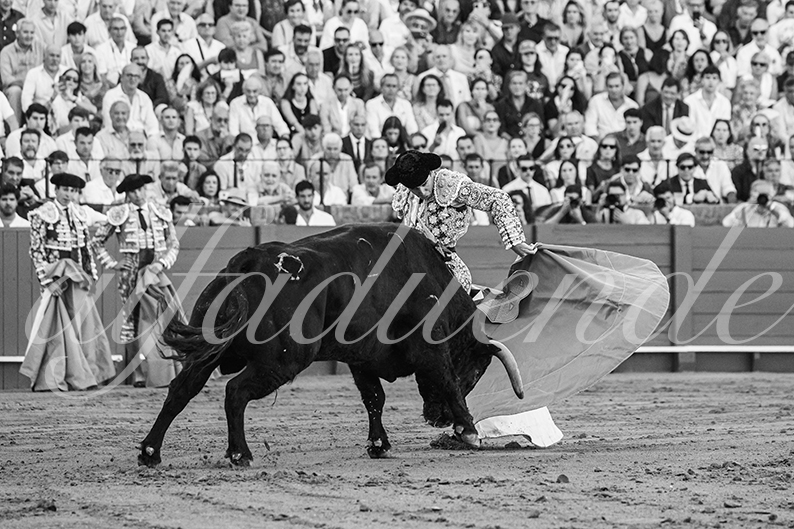20260925 sevilla fd 018