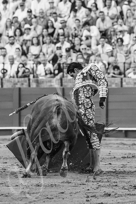 20260925 sevilla fd 016